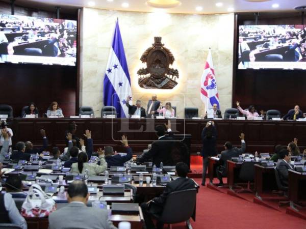 El dictamen fue presentado este martes en el Congreso Nacional.
