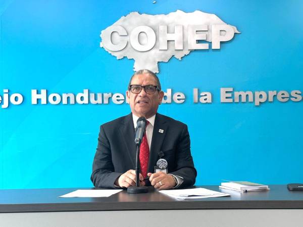 El director ejecutivo del Cohep dijo que el mensaje de la OEA va dirigido a todos los hondureños, para que se vele por el cumplimiento de que cada voto cuente el 30 de noviembre.