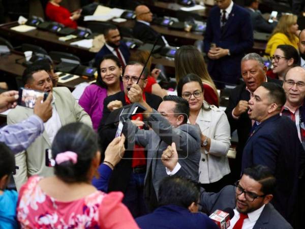 La bancada de Libertad y Refundación (Libre) mantiene su postura en contra de las reformas al sector energético, sosteniendo que estas llevarán a la privatización de la ENEE.