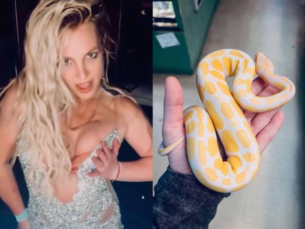 Tras aceptar un acuerdo de culpabilidad por su detención en Los Ángeles en marzo, Britney Spears ha compartido un mensaje sobre gratitud y crecimiento personal que ha generado reacciones entre sus seguidores.