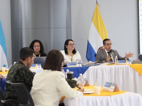 En la sesión del CES participaron autoridades y representantes de las diferentes universidades que funcionan en el país,