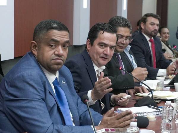 La comisión comenzará con intensas jornadas de socialización la próxima semana.