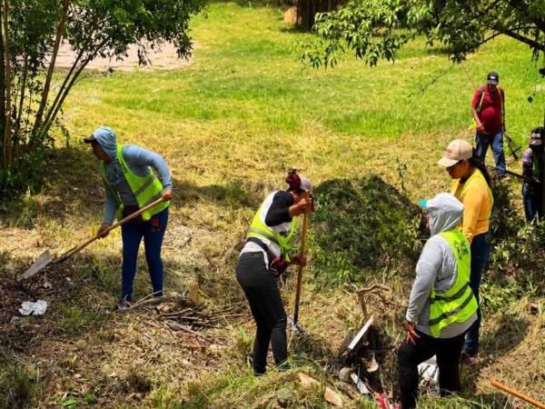 Además del retiro de residuos sólidos, las cuadrillas acondicionaron zonas verdes con el propósito de reducir focos de contaminación y la proliferación de plagas.
