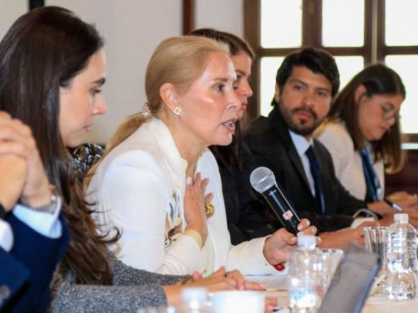 La primera dama Lissette del Cid de Asfura, sostuvo un encuentro con representantes de la Red de Cooperantes Nacionales de Honduras, para fortalecer el impacto social en áreas como educación.