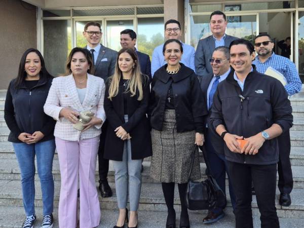 El grupo de diputados del Partido Nacional (PN), del Partido Liberal (PL) y del Partido Salvador de Honduras (PSH), que presentaron uno de los recursos de inconstitucionalidad.