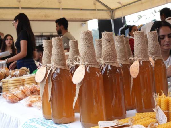 Los apicultores fortalecen la producción de miel con apoyo de la Secretaría de Agricultura y Ganadería (SAG) con la que van a obtener una mayor producción y calidad del producto.