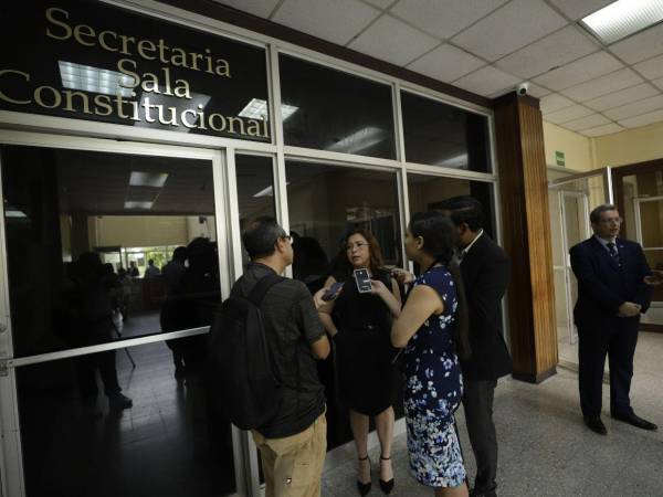 La Sala Constitucional de la Corte Suprema de Justicia (CSJ) admitió los dos recursos que habían sido interpuestos meses atrás.