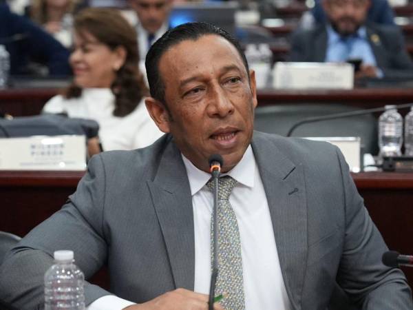 El jefe de la bancada nacionalista, Carlos Cano, le respondió a Mel Zelaya.