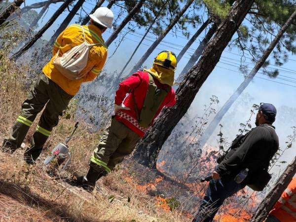 Las autoridades municipales señalaron que la mayoría de incendios han sido pequeños y se han sofocado a tiempo, evitando daños mayores.