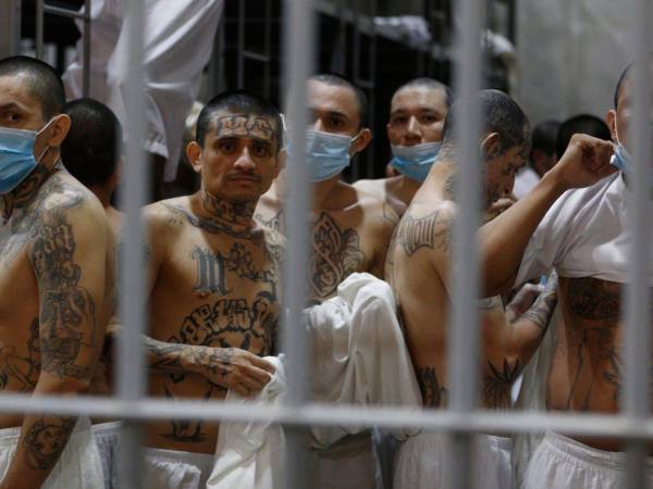 Según la información de organización no gubernamental Socorro Jurídico Humanitario las muertes bajo custodia del Estado podría superar los 1,000