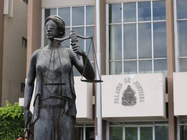 Con la revisión, los entes encargados de revisar los expedientes determinarán si existen condiciones que requieran una actuación conforme al procedimiento establecido.