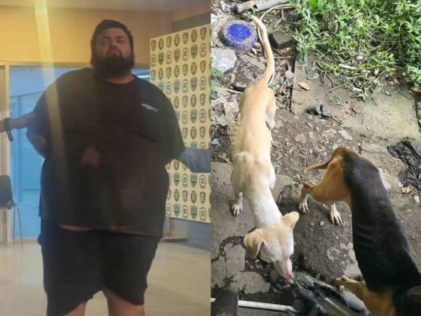 Un vendedor de tacos en Siguatepeque, Comayagua, fue detenido tras encontrar restos de perros en su casa. ¿Qué se sabe del caso? Esto informó la Policía Nacional.