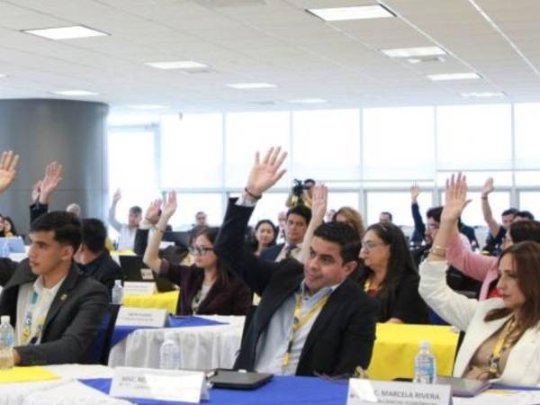 Los integrantes del Consejo Universitario de la UNAH aprobaron el proceso de selección del nuevo comisionado universitario y cuatro director de la JDU.