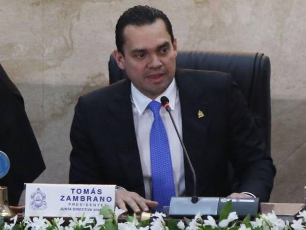 Tomás Zambrano aseguró que el Congreso Nacional le está cumpliendo al país.