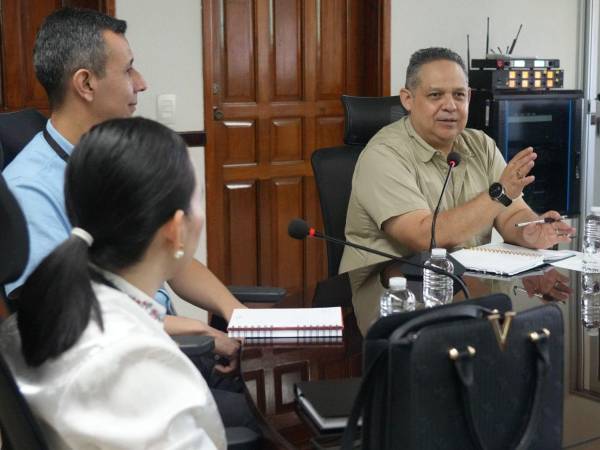 El viceministro de la Secretaría de Agricultura (SAG) se reunió con representantes del Banco Central de Honduras para coordinar y poder actualizar las estadísdicas relacionadas al sector agropecuario del país.