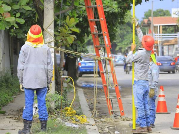 No existe información pública sobre los avances o el cumplimiento de al menos 20 tareas clave para el rescate de la ENEE.