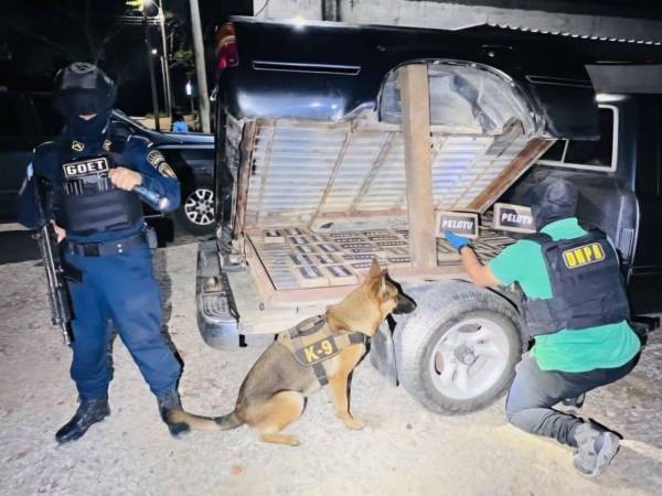 Los perros antinarcóticos detectaron la droga en el compartimento falso del vehículo.