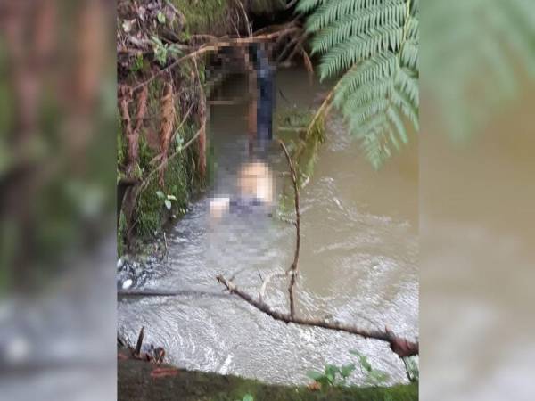 El cadáver de Hilario estaba enredado en unas raíces de unos árboles.
