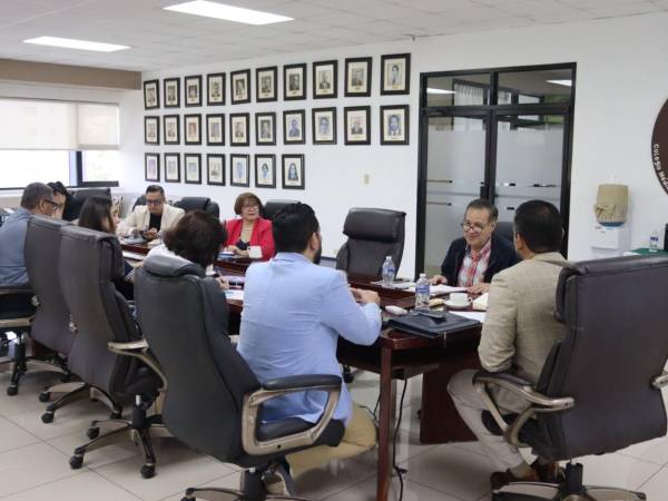 Las autoridades de la Secretaría de Salud se reunieron este miércoles con la junta directiva del Colegio Médico de Honduras.