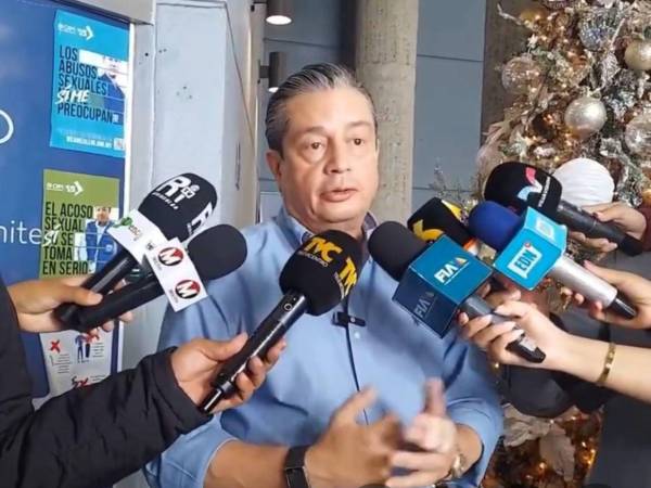 Fortín exhortó al Partido Nacional y al Partido Liberal a actuar con responsabilidad y facilitar el trabajo de sus representantes en los organismos electorales.