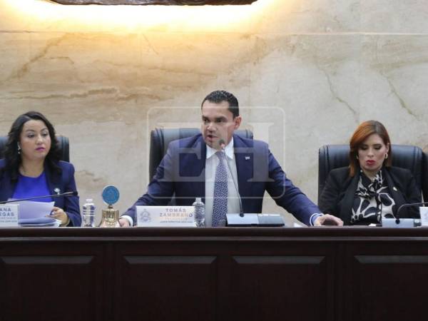 La temporalidad de dos meses fijada en el dictamen responde a una exigencia política directa de la bancada del Partido Libertad y Refundación (Libre).