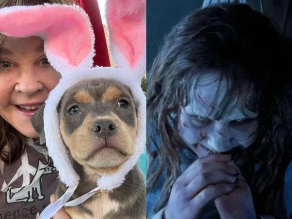 Un operativo del Departamento de Cuidado y Control Animal de Los Ángeles inspeccionó el rancho de Linda Blair, protagonista de El Exorcista, por presuntas irregularidades en un refugio canino.