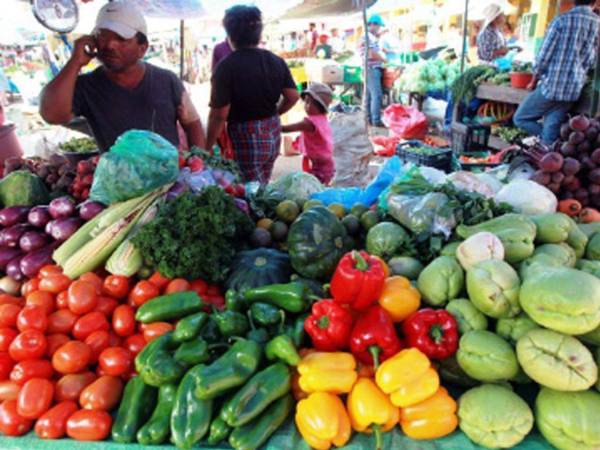 Durante la tercera semana de marzo, algunos lácteos se cotizan en 100 lempiras en la Feria del Agricultor, mientras que las verduras bajan de precio.