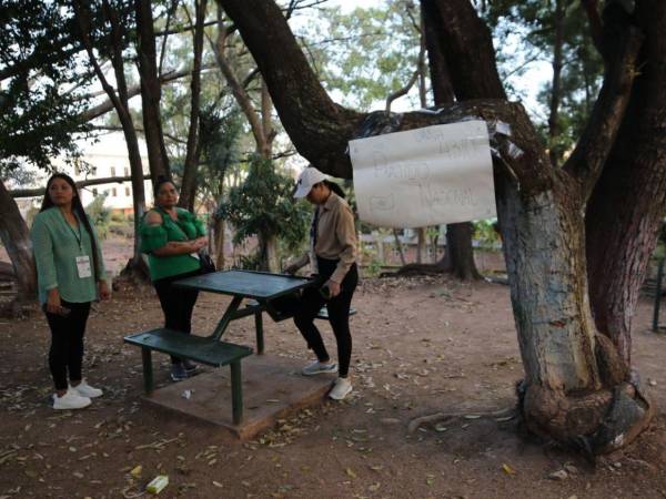 A la intemperie y con pupitres trabajan los integrantes de la JRV del Partido Nacional en la escuela República de Nicaragua.