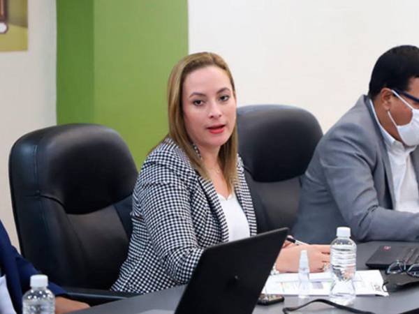 Laínez habría entregado su cargo por presuntas amenazas como medida de presión de altos mandos.