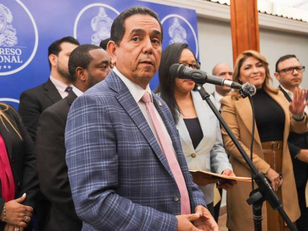 Comisión advierte que no aceptarán documentos fuera de tiempo para CNE y TJE