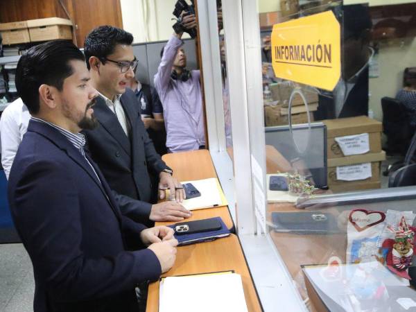 El 28 de mayo, Nelson Castañeda se apersonó en la Sala Constitucional para notificarse de que el recurso había sido admitido a trámite.