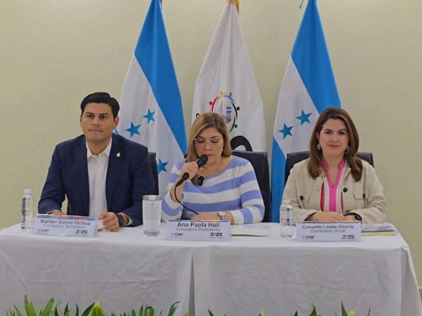 Sectores políticos y de sociedad civil piden al CNE resolver el expediente de Jorge Cálix con el mismo criterio aplicado en otros casos.