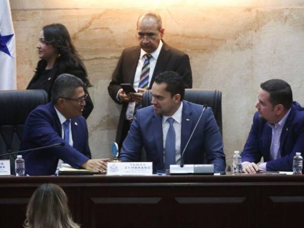 Las autoridades del Congreso Nacionalinformaron que aún no se ha presentado de manera formal algún proyecto de ley.