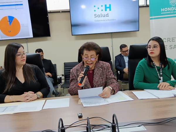 Las autoridades de la Secretaría de Salud culparon a las empresas participantes ante el fracaso del proceso de licitación.