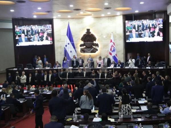 La iniciativa contó con un dictamen favorable de la Comisión Especial del Congreso y el visto bueno unánime de la Corte Suprema de Justicia (<b>CSJ</b>).