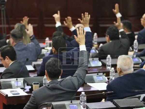 De manera unánime se hizo la aprobación para endurecer las penas contra el femicidio.
