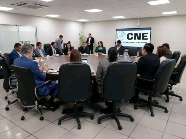 CNE y Congreso Nacional acordaron instalar una mesa técnica para discutir reformas electorales.