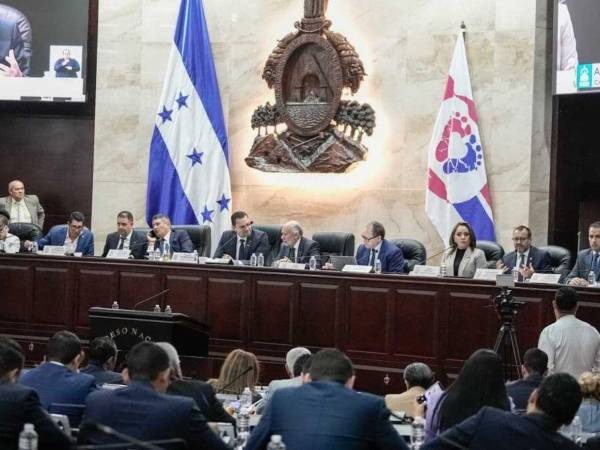 El congresista lamentó que el proyecto haya permanecido estancado en administraciones pasadas por falta de voluntad política.