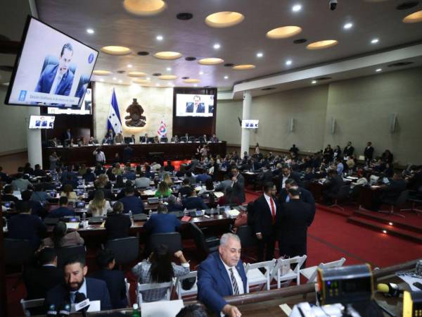 El pleno del Congreso Nacional tendrá que votar para realizar las reformas electorales.
