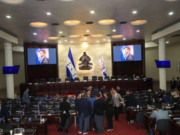 Liberales condicionan reforma eléctrica a que se incluya su propuesta técnica en el Congreso Nacional.