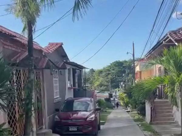El hallazgo se registró en el patio de una de las viviendas de la residencial.