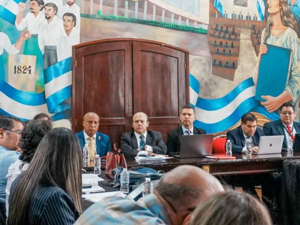 ​El cronograma de trabajo de la comisión prevé convocar en los próximos días a los representantes de las organizaciones empresariales y del sector privado.