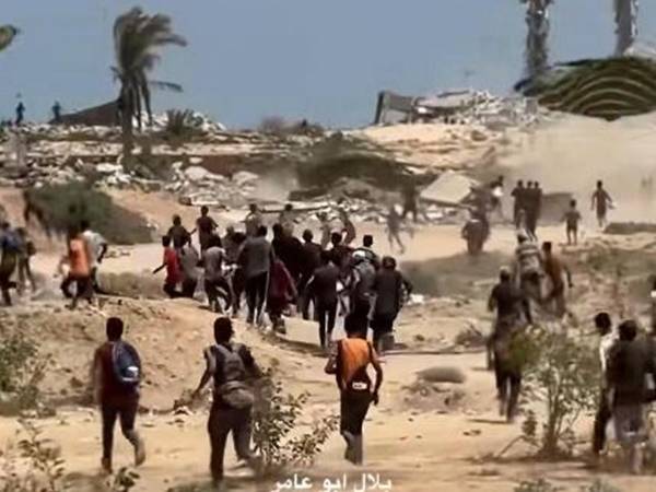 Un video captó el momento cuando el menor corría a recolectar algo de alimento y fue aplastado por la caja.