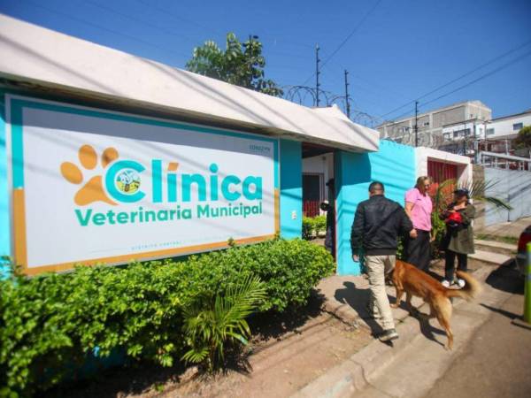 Desde su apertura oficial el 2024, la clínica veterinaria municipal ofreció atención gratuita a más de 22,500 mascotas capitalinas.