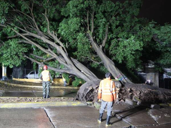 Los cuatro departamentos que se encuentran en alerta roja por lluvias son Francisco Morazán, Lempira, La Paz e Intibucá.