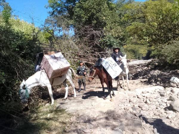 El traslado del material electoral a comunidades de difícil acceso continuó este sábado con el apoyo de las Fuerzas Armadas, que utilizaron lanchas y mulas para garantizar que las maletas electorales lleguen a su destino antes de la jornada de votación del 30 de noviembre.