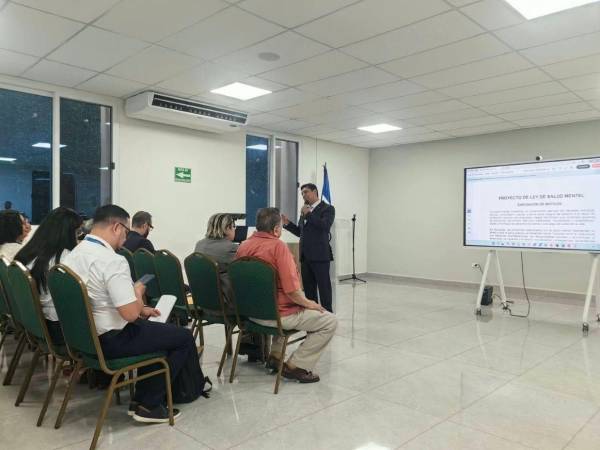 La propuesta de ley fue presentada al presidente de la Comisión de Salud del Congreso Nacional, Roberto Cosenza, quien la llevará al pleno del Legislativo.