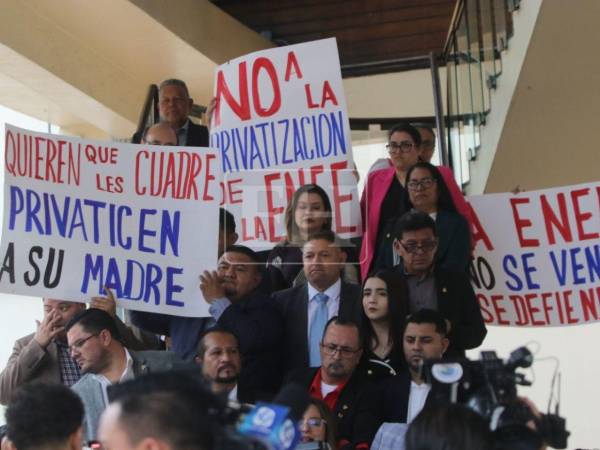 Los diputados tenían pancartas en rechazo a la privatización de la ENEE.