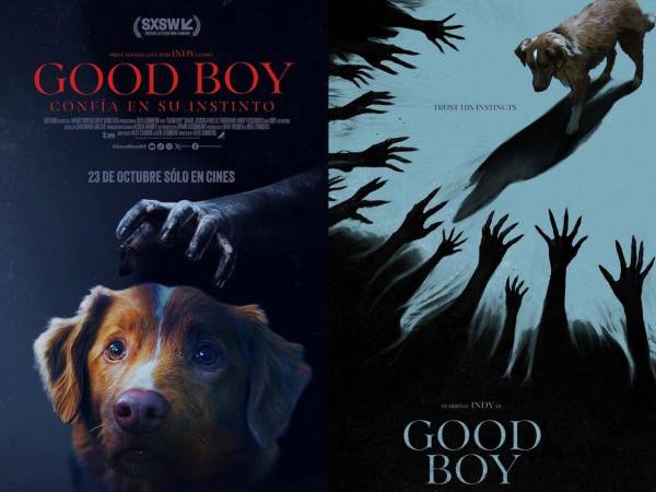 Good Boy es un recordatorio de que, cuando el peligro acecha y las sombras se alargan, el mejor amigo del hombre puede ser también su última esperanza.