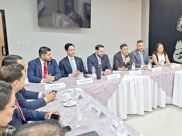 Una vez concluido este proceso, el anteproyecto será sometido a aprobación del Pleno de Magistrados y posteriormente remitido al Congreso Nacional para su discusión y eventual aprobación.